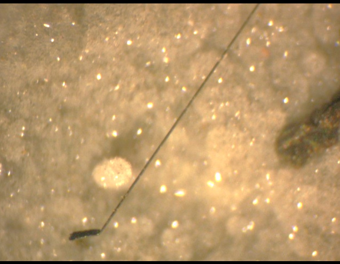 Sharp green crystals grow on a dark grey rocky base.